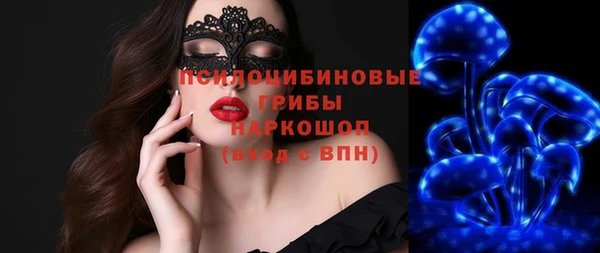 прущие грибы Алексин