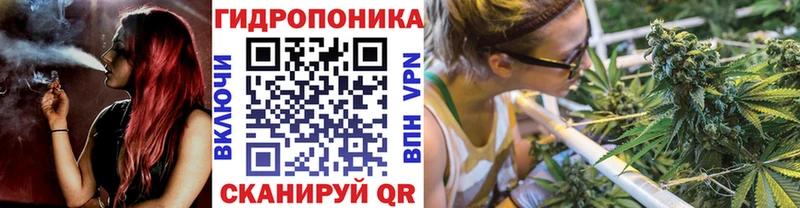 ОМГ ОМГ зеркало  Арск  Конопля планчик 